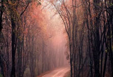 浓眉谈欧文受伤：那是毁灭性的 他已准备好迎接康复挑战.